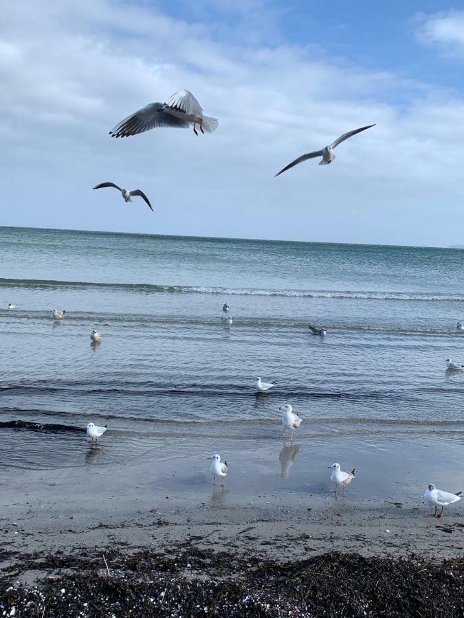 Ferienidyll Nordwind Daire Dranske Dış mekan fotoğraf