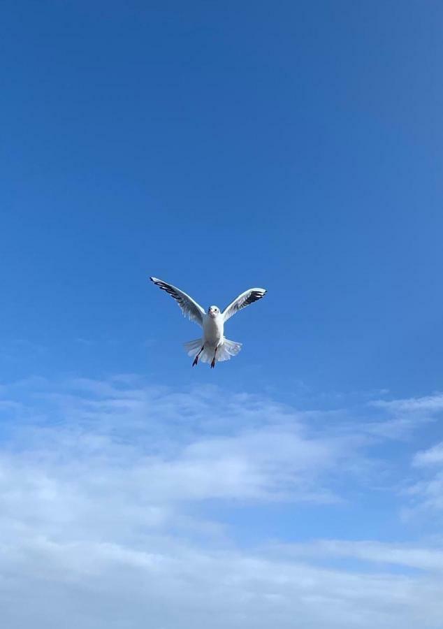 Ferienidyll Nordwind Daire Dranske Dış mekan fotoğraf